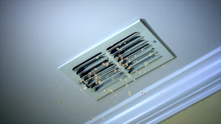 Best Air Duct Cleaning Near Me  in Kirksville, MO