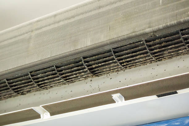 Best Home Air Vent Cleaning  in Kirksville, MO